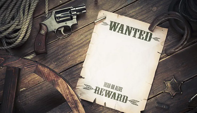 WANTED, VINTAGE, HORSESHOE, REWARD, BADGE