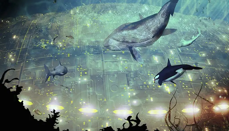 VILLE, OCÉAN, PROFONDEUR, POISSON, REQUIN