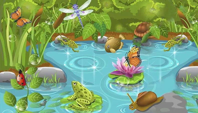 BORBOLETA, LIBÉLULA, RÃ, CARACOL, JOANINHA