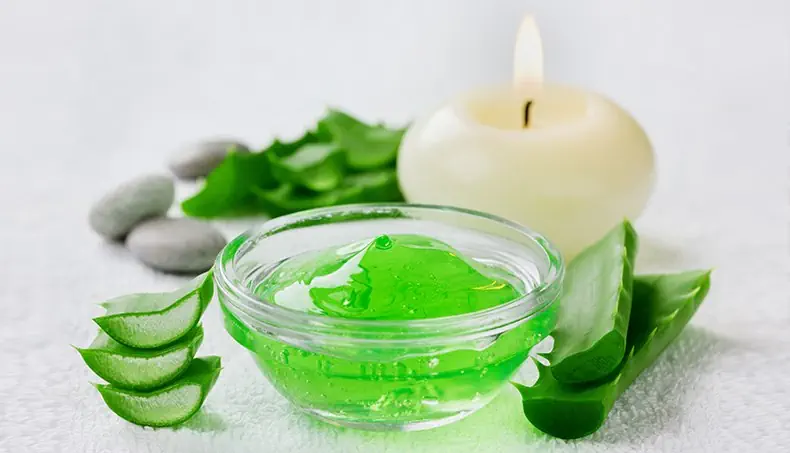 ALOE, FLAME, GEL, BOWL, CANDLE
