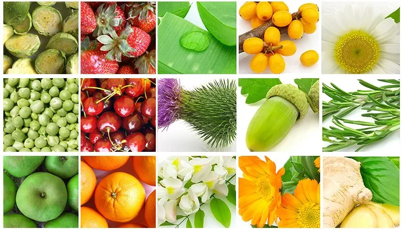 ALOE, JORDBÆR, KIRSEBÆR, APPELSIN, ROSMARIN