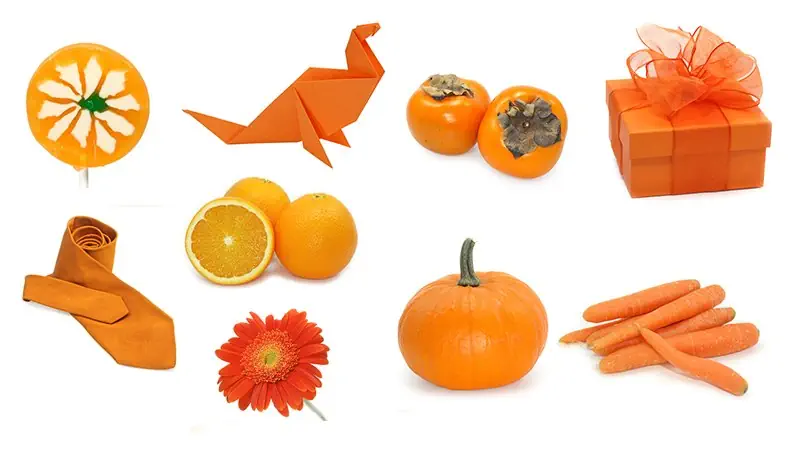 ORIGAMI, PERSIMMON, GIFT, ORANGE, NECKTIE