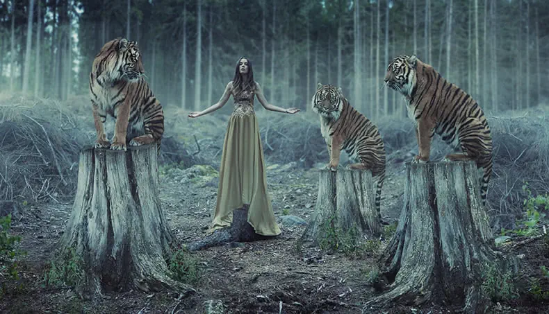 DOMPTAGE, TIGRE, FORÊT, FILLE, ROBE