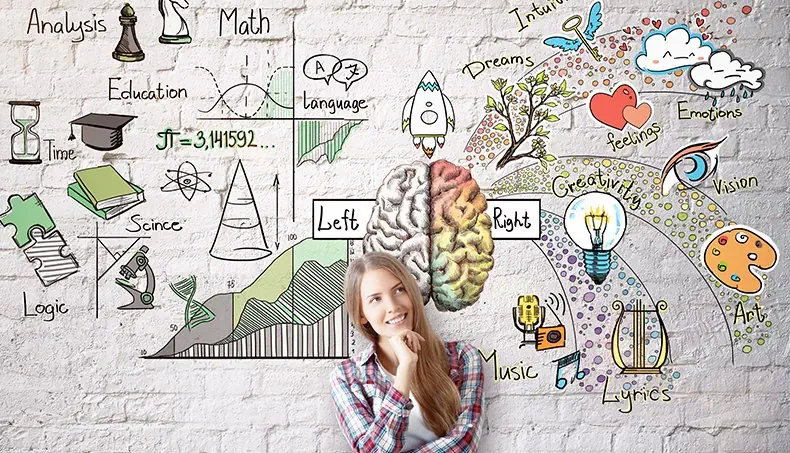 BRAIN, HEMISPHERE, BRAINSTORM, MICROSCOPE, BULB