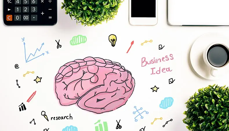 BRAINSTORM, BRAIN, CALCULATOR, SHRUB, BULB