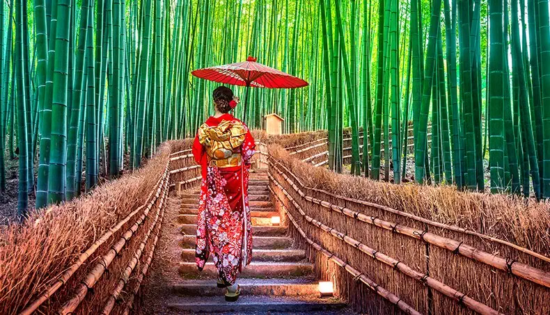 BAMBOO, FOREST, JAPAN, KIMONO, LANTERN