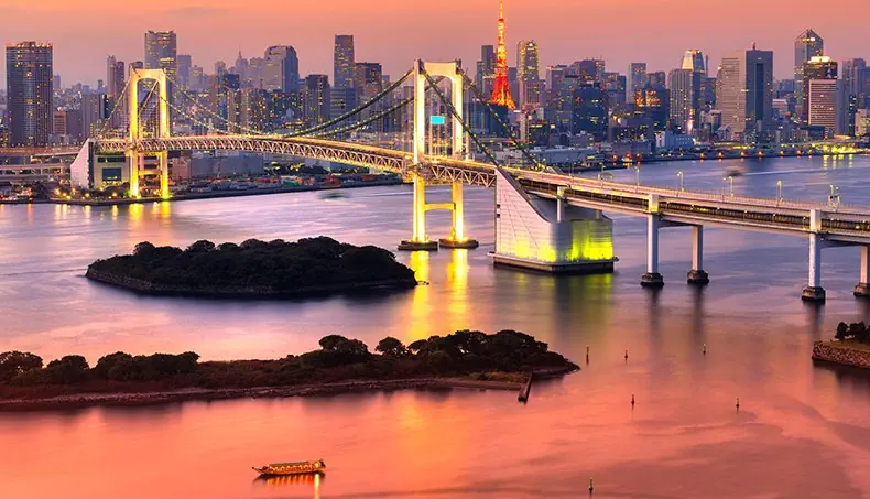 TOKYO, JAPAN, MEGALOPOLIS, TORN, BRO