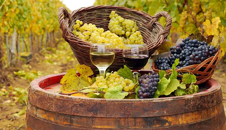 WHITE WINE, VINEYARD, ALCOHOL, BARREL, BASKET