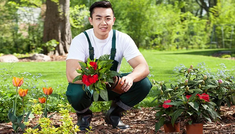 GARDENER, TULIP, TRUNK, LAWN, POT