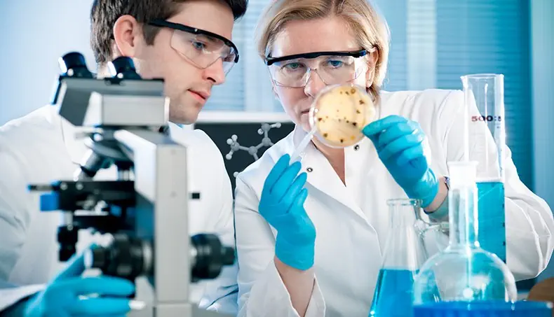 PETRI DISH, SCIENCE, LAB COAT, SCIENTIST, FLASK