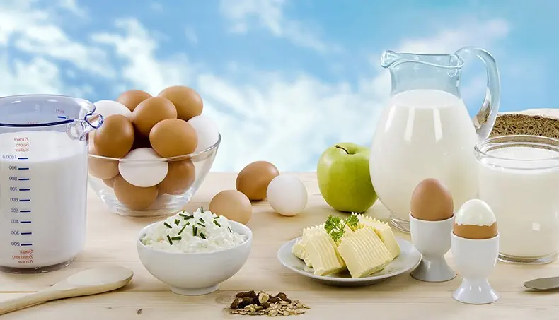 DAIRY, BREAD, EGGS, APPLE, BUTTER