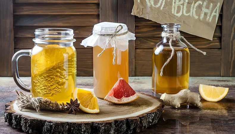 FERMENTATION, KOMBUCHA, PROBIOTICS, GRAPEFRUIT, ORANGE