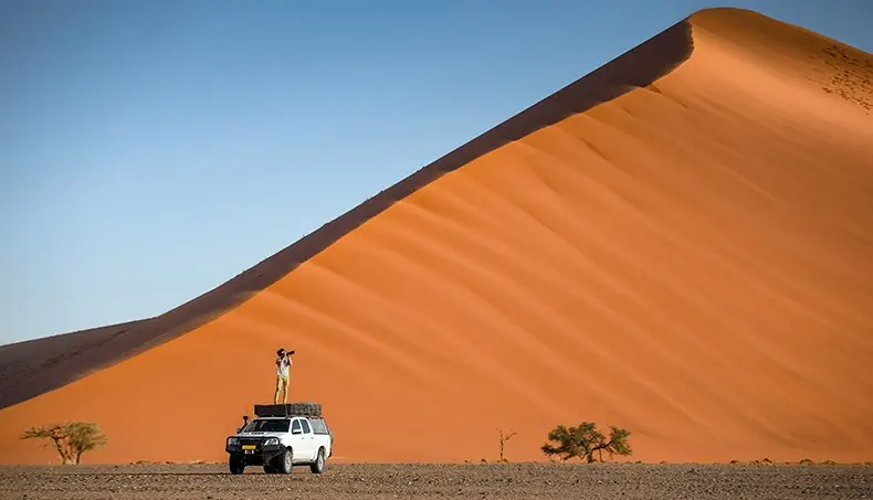 TRAVEL, DUNE, DESERT, AUTOMOBILE, SHRUB