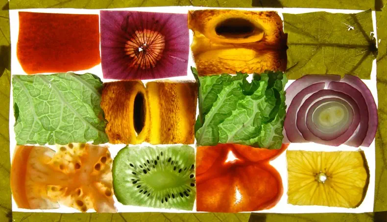 LETTUCE, KIWI, PERSIMMON, ONION, STONE