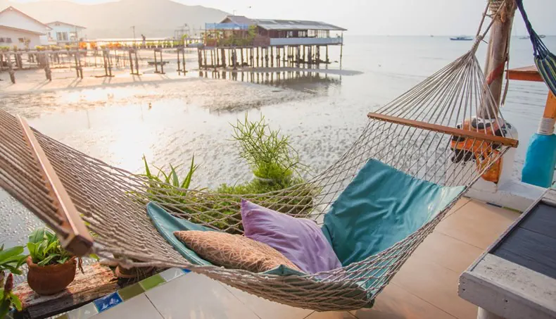 HAMMOCK, PILLOW, PILES, POT, PLANT