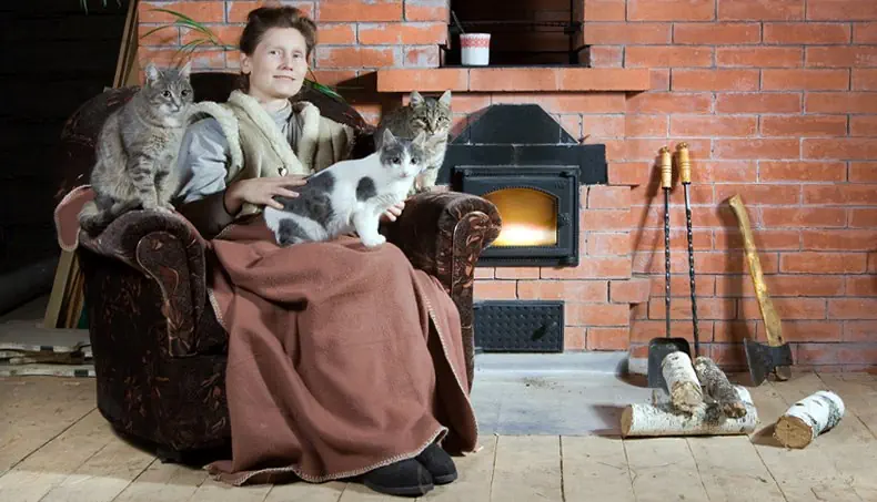 FIREWOOD, POKER, FIREPLACE, CAT, AXE