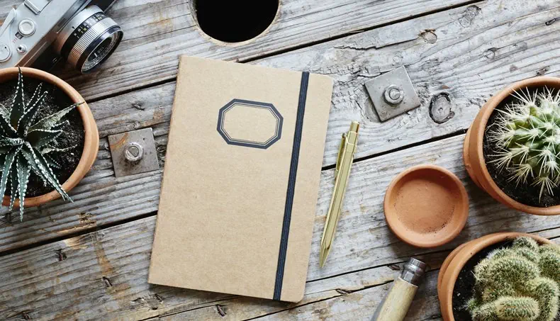 CACTUS, POT, NOTEBOOK, PEN, CAMERA