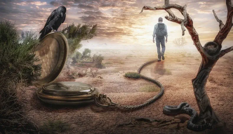 CORVO, SERPENTE, CEPPO, NIDO, DESERTO