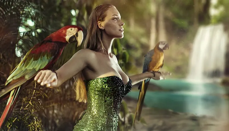 PARROT, JUNGLE, DECOLLETE, SHOULDER, BEAK