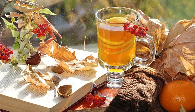 SERBAS, OTOÑO, BELLOTA, CASTAÑA, TÉ