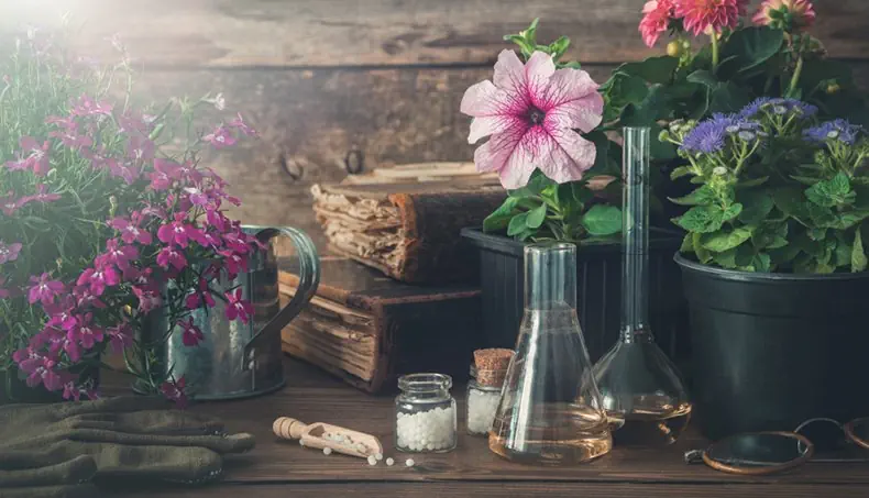 FLOWERS, GRANULES, HOMEOPATHY, FLASK, LIQUID