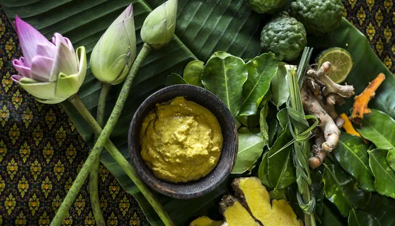 LOTUS, PASTA, KNOP, GEMBER, CURCUMA