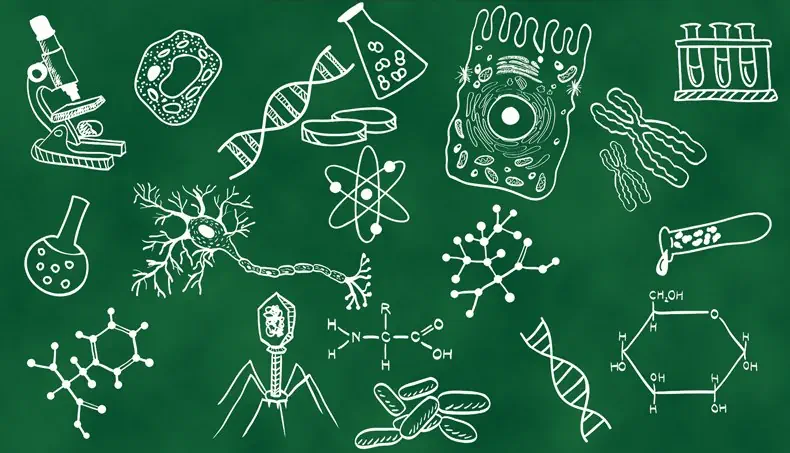 MICROSCOPE, GÈNE, NERF, CHROMOSOME, CORNUE