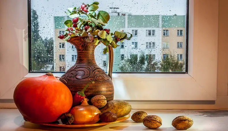 RAIN, DROPS, CHILI PEPPER, CARVING, ONION