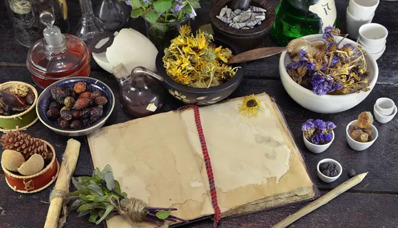 BOOKMARK, HERBS, CONE, BUNCH, DECANTER