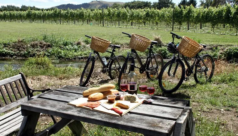 PICNIC, BASKET, VINEYARD, BREAD, BICYCLE