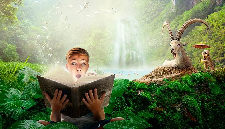WATERFALL, SURPRISE, BOOK, FLAMINGO, FLOCK