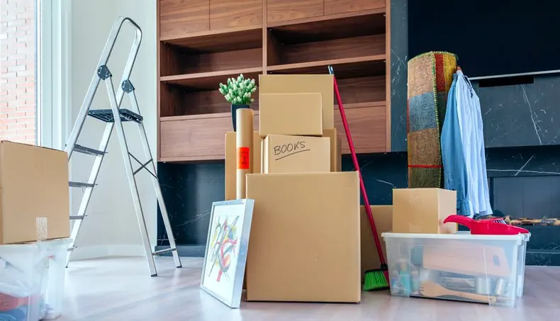 MOVE, PICTURE, STEPLADDER, BOX, DUSTPAN