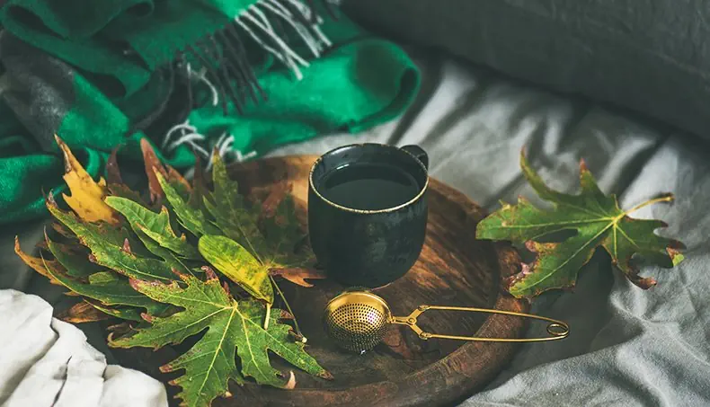 TELA ESCOCESA, FLECOS, HOJA, COLADOR DE TÉ, TAZA