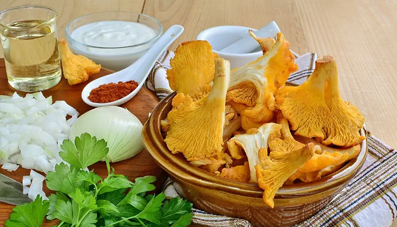 OIGNON, CHANTERELLE, PERSIL, CRÈME AIGRE, PAPRIKA