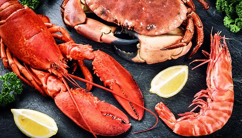 HOMARD, CRABE, CREVETTE, PINCE, CARAPACE