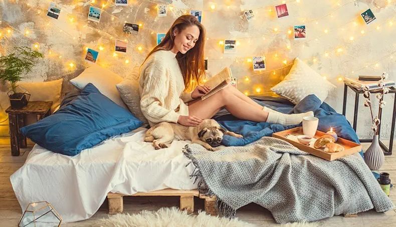 PUG, PHOTO, VASE, TRAY, BLANKET