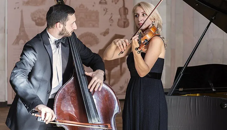 FAN, VIOLIN, GRAND PIANO, DOUBLE BASS, VIOLIN BOW
