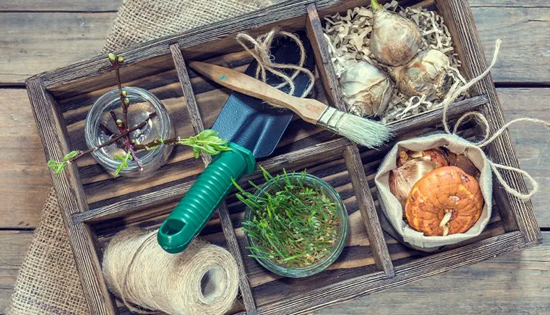 BULB, SCOOP, BRUSH, BURLAP, STALK
