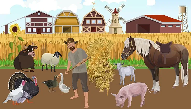 TURKEY, PIG, COW, FARMER, GOAT