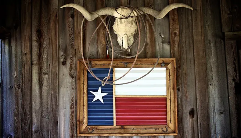 TEXAS, CORNES, DRAPEAU, ÉTOILE, LASSO