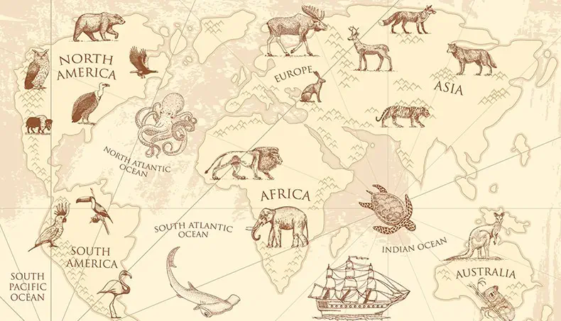 ELEFANT, SKILPADDE, KAKADUER, KENGURUER, ELG