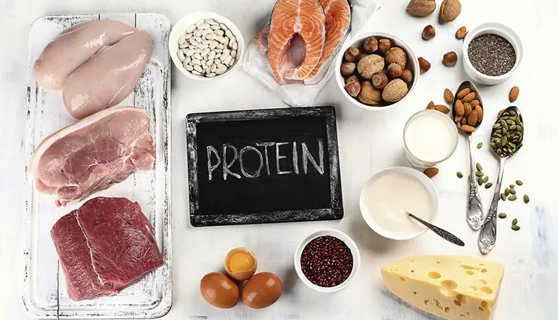 PROTEIN, PORK, MEAT, BEANS, NUTS