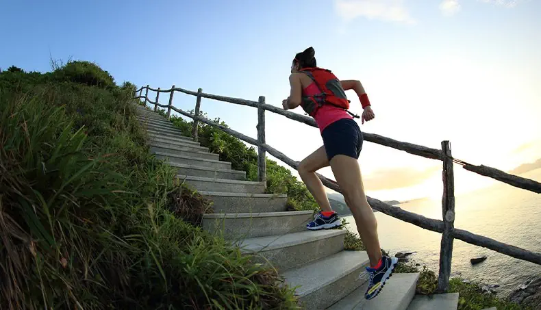 COURIR, ESCALIER, CÔTE, COUCHER, PALISSADE