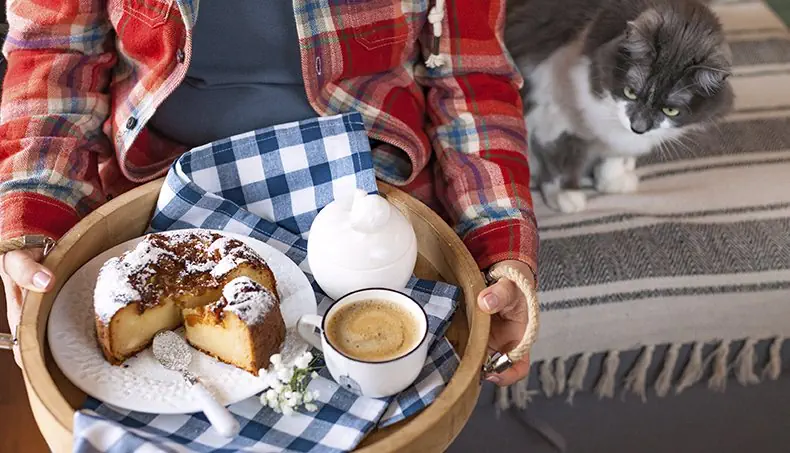 FRANGE, CHAT, PLATEAU, TARTE, CAPPUCCINO