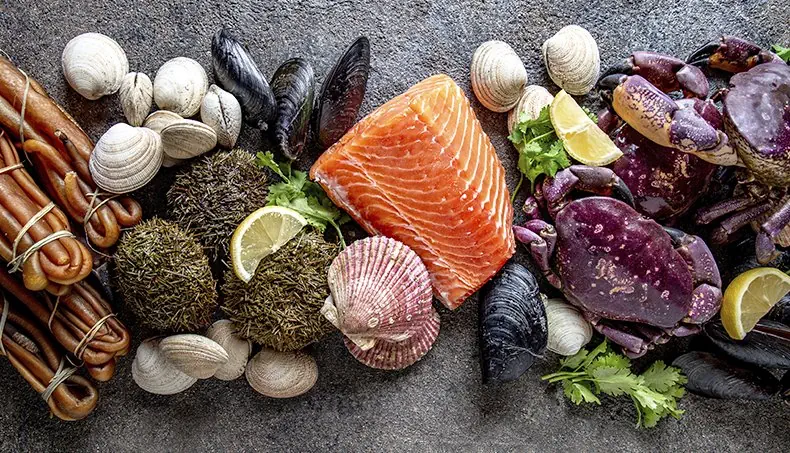 CRUSTACÉS, PINCE, CRABE, MOULE, COQUILLE