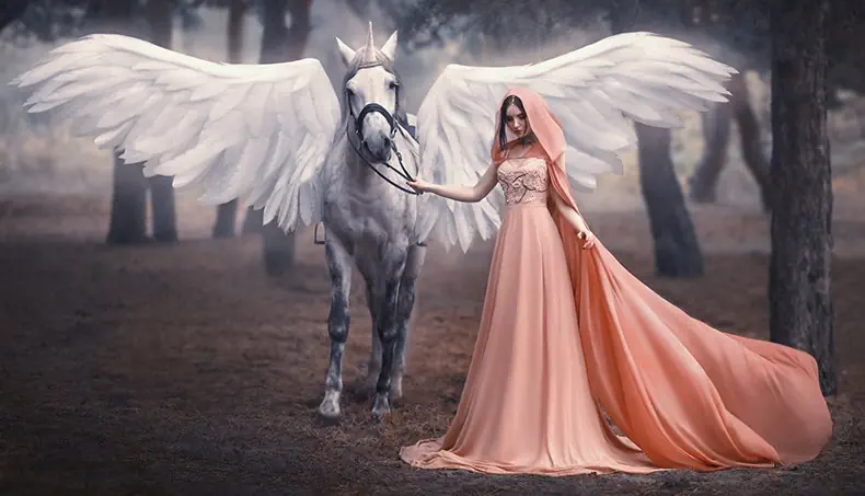 PEGASUS, HORN, WING, CLOAK, TRUNK