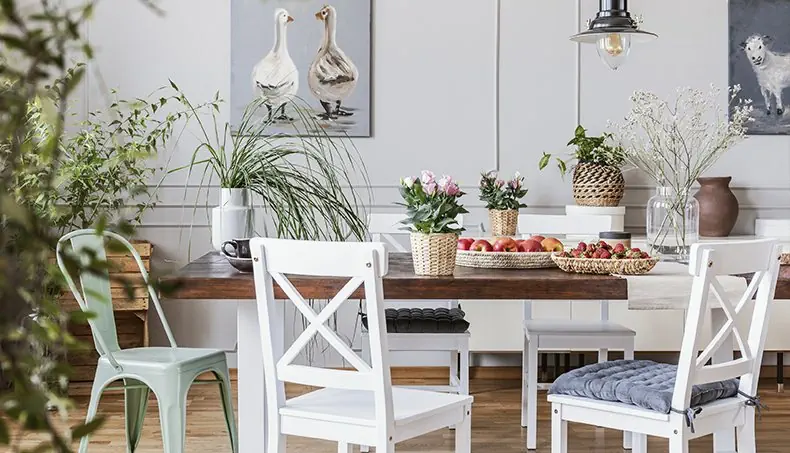 APPLES, PLANT, CHAIR, TABLE, DINING ROOM