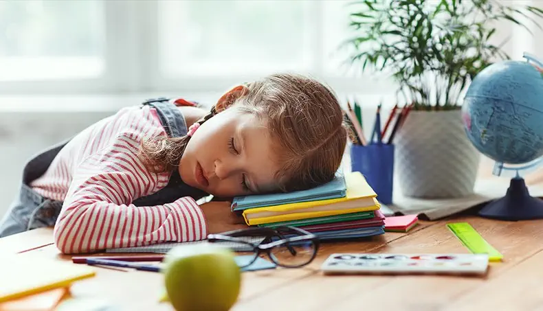 HOMEWORK, SLEEP, FATIGUE, GLOBE, RULER
