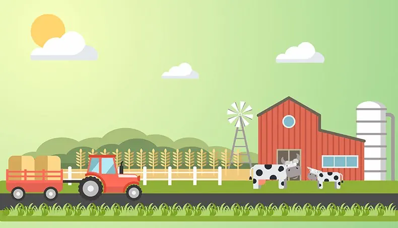 WHEAT, CALF, COW, TRACTOR, BARN