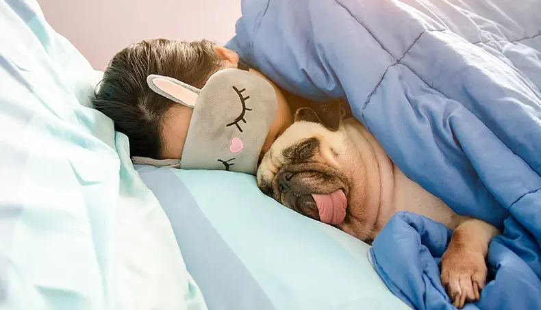 PUG, TONGUE, DREAM, DUVET, PAW
